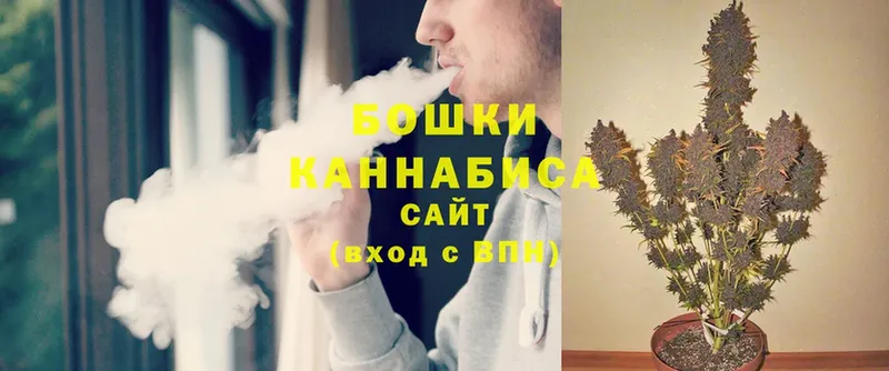 дарнет шоп  Кольчугино  Шишки марихуана SATIVA & INDICA 